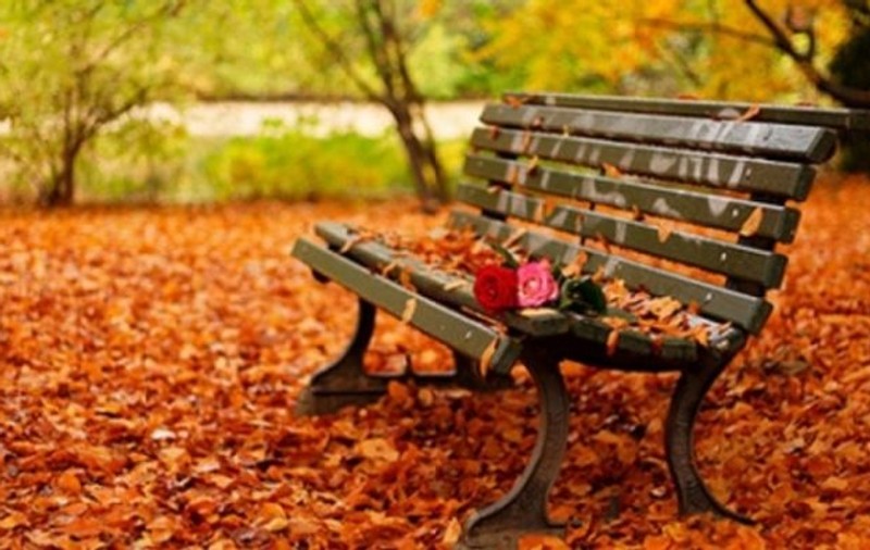 PROGNOZA METEO | Cum va fi vremea la începutul săptămânii viitoare