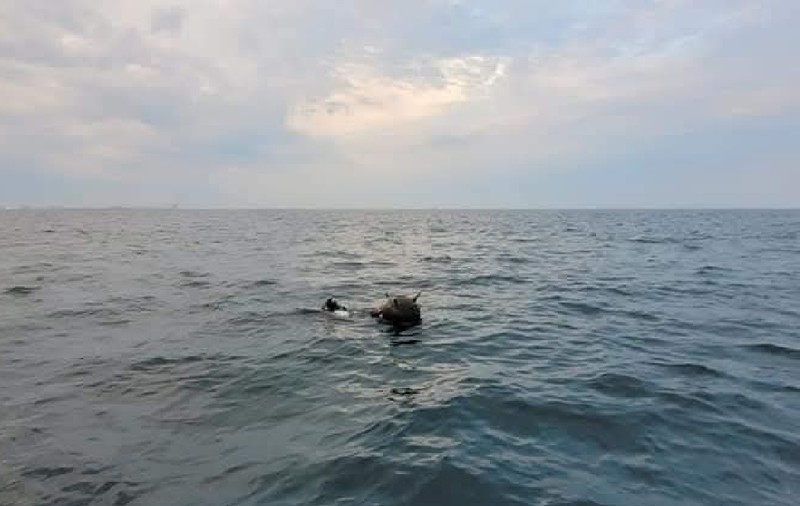 Ministerul Apărării se ceartă cu Ambasada Rusiei la București despre originea minelor marine în derivă în Marea Neagră