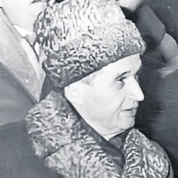 Arhiva foto