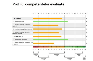 Captură dintr-un raport de evaluare al Brio, pentru testarea la Matematică, pentru clasa a V-a