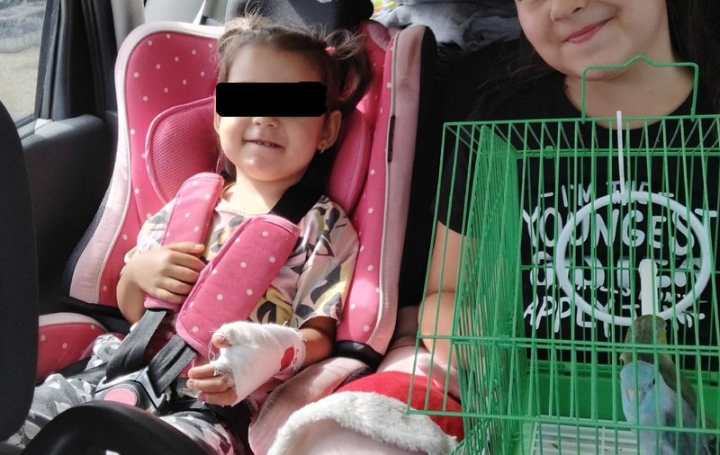Mama fetiței mușcate de maimuță la Zoo Suceava, revoltată: „Un prim ajutor nu am primit, un plasture, o cană de apă…”