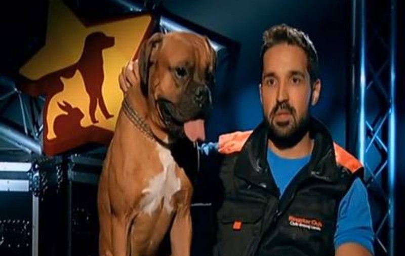 De necrezut! Tudy a participat la un concurs de talente cu un câine furat de la fosta iubită
