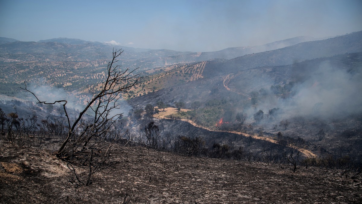 Incendii in Grecia