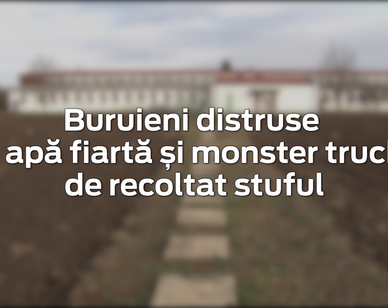 VIDEO/ Invenție românească. Tractorul care omoară buruienile cu apă chioară