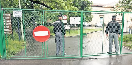 Arhiva foto