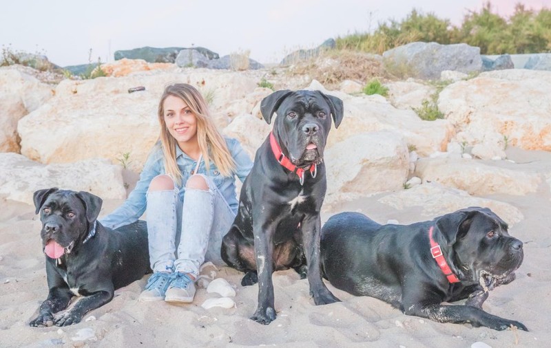 Căței, pisici, ba chiar și o găină! Ce animale de companie au vedetele și cum le răsfață