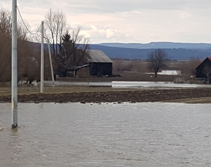 UPDATE: Două persoane sunt izolate pe o insuliță formată în urma revărsării apelor, în Brașov. Pompierii intervin să le salveze/ FOTO&VIDEO