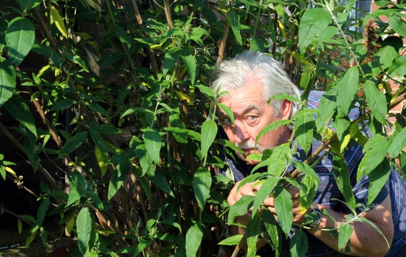 Ce înseamnă când visezi că te ascunzi de cineva