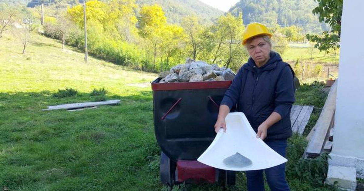 căutătoare autorizată de aur aluvionar