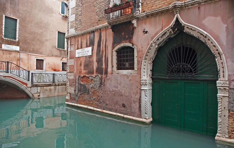 Un lup a fost salvat în Verona după ce rămăsese blocat într-un canal