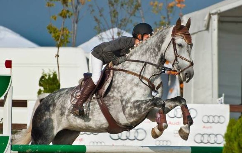 Salonul Calului, evenimentul premium al echitaţiei în România, un maraton de competiţii de înaltă performanţă