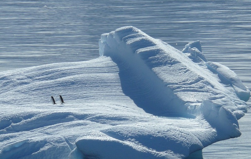 Polul nord magnetic al Pământului se deplasează "destul de repede" spre Siberia. Care sunt consecințele