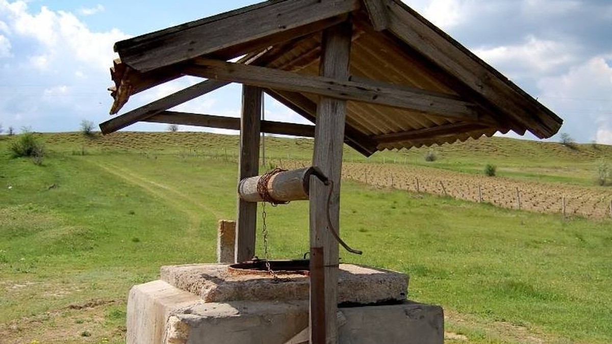 Arhiva foto