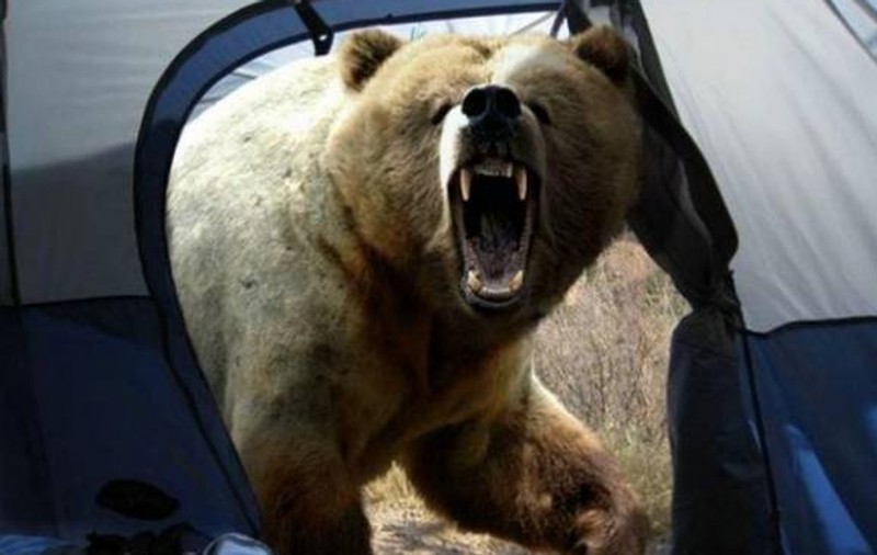 A făcut poza şi a fost omorât! Cea mai şocantă IMAGINE din ISTORIE! | FOTO