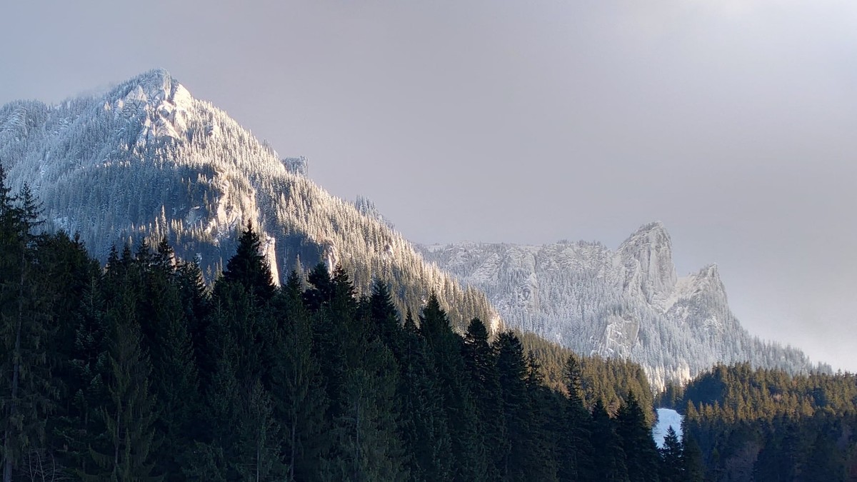 Arhiva foto