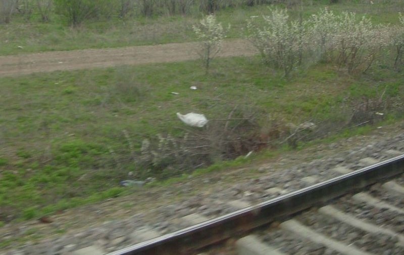 Cioban ucis de tren