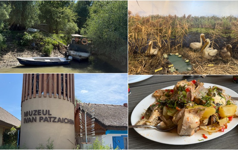 Redescoperă Tulcea: o călătorie între Delta Dunării, gastronomie locală și experiențe autentice