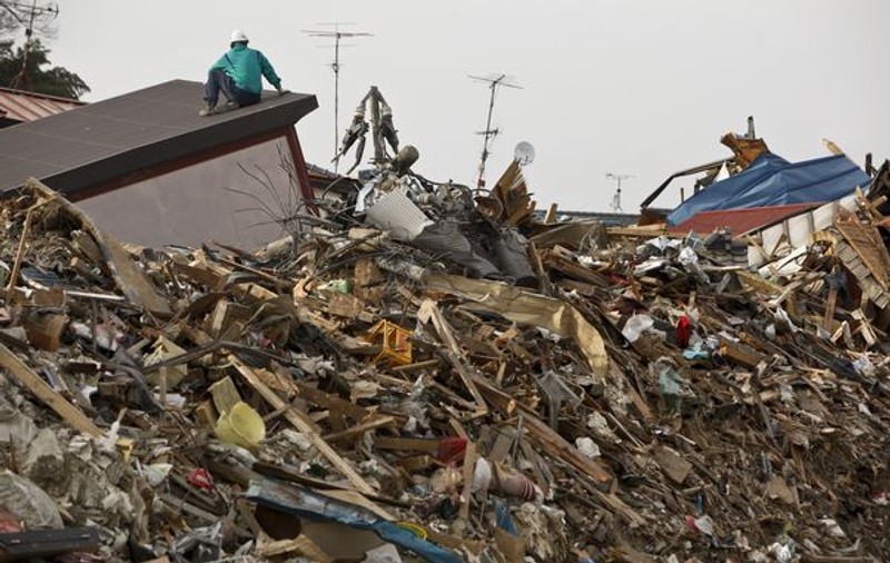 O minge pierdută după tsunami-ul din Japonia a fost găsită după un an în... Alaska