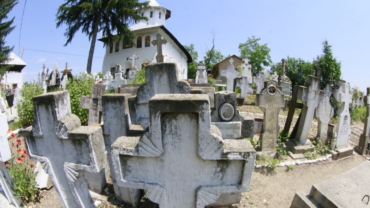 Arhiva foto