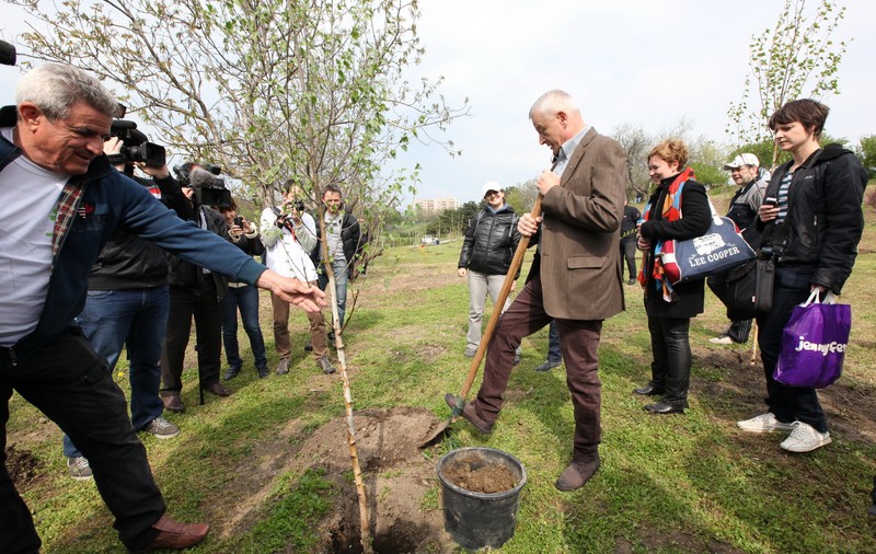 Primarul Sorin Oprescu a plantat copaci- "aspiratori de praf" în parcul Tineretului