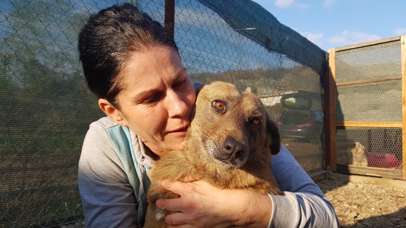 Gabriela ține minte și numele, și istoria fiecărui câine pe care l-a salvat