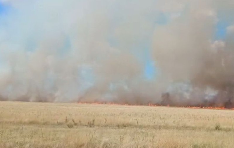 Incendiu de vegetație în Mehedinți: 30 de hectare de grâu și miriște, cuprinse de flăcări. Autoritățile le recomandă locuitorilor să evite deplasările