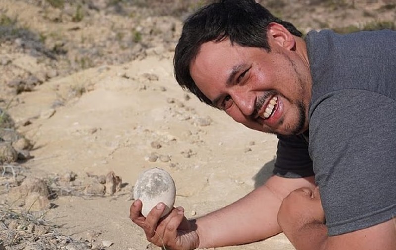 O descoperire ca din „Jurassic Park”: un ou de dinozaur vechi de 70 de milioane de ani ar putea conține material genetic