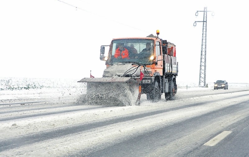 Baschetbaliştii şi rugbştii ajută la deszăpezire