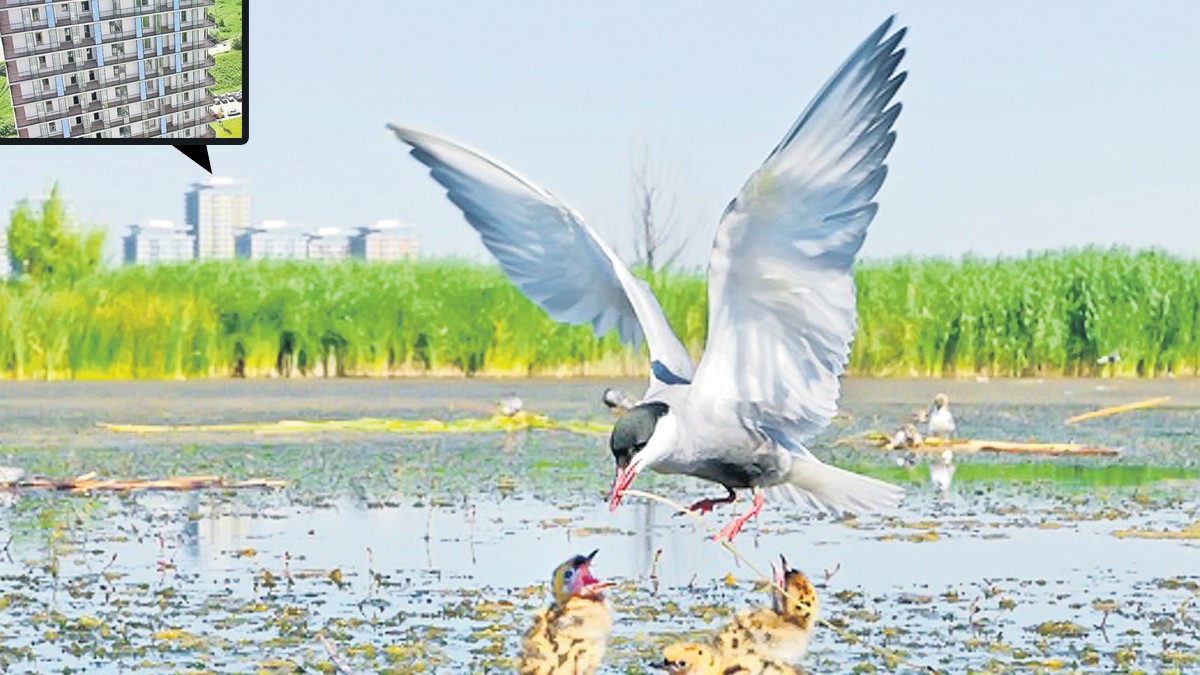 Arhiva foto