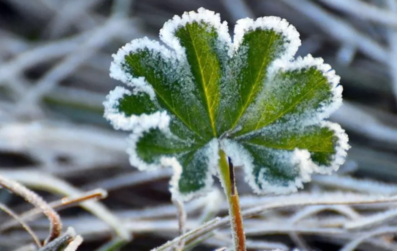 Cum va fi vremea mâine. Prognoza meteo pentru joi, 13 februarie 2025