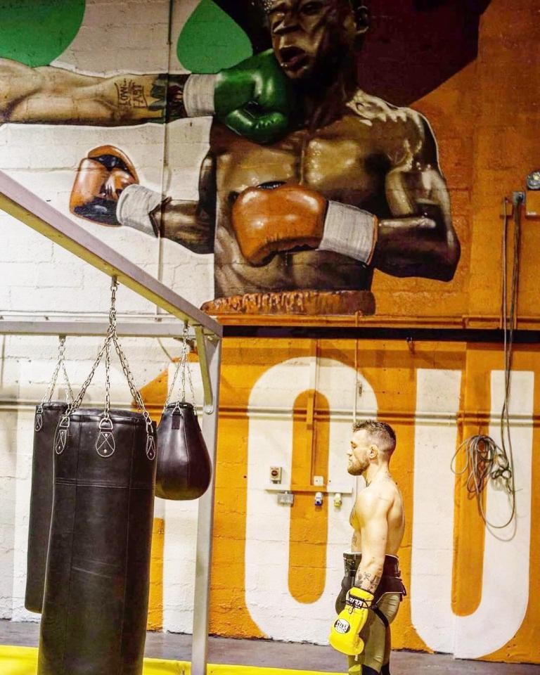 Conor McGregor, în sala de antrenament. (FOTO: instagram.com/thenotoriousmma)
