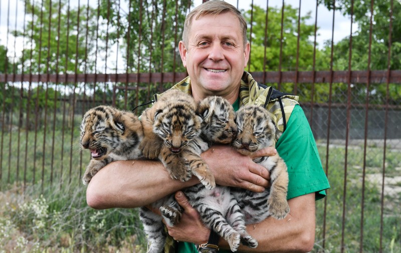 Oficial rus, filmat în timp ce fură animale de la grădina zoologică din Herson. Cine este Oleg Zubkov