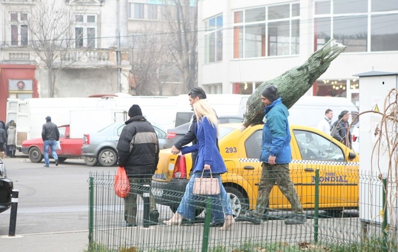 Marcel Toader şi iubita şi-au cumpărat brad. Vezi cum l-au transportat până la maşină!