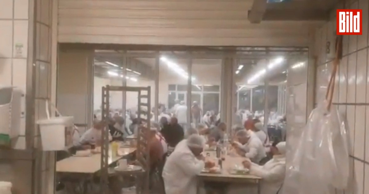 Muncitori servind masa în cantina abatorului Tönnies din Germania. FOTO: captură Bild