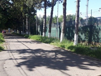 Arhiva foto