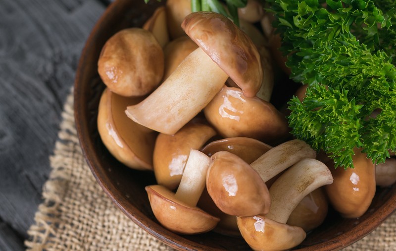 Reţete cu ciuperci champignon simple și gustoase
