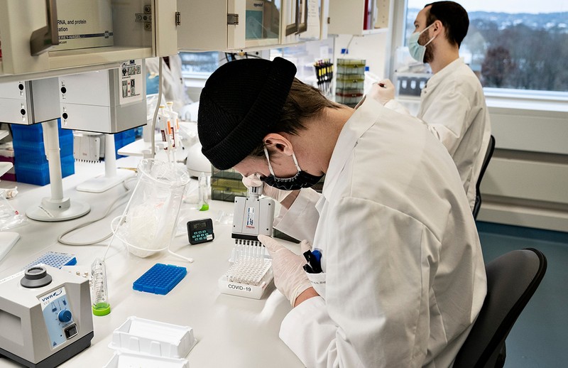 Cercetătorii danezi examinează și analizează toate probele pozitive de coronavirus pentru noul grup de variante de virus, care este mai contagios și se răspândește mai ușor și rapid. Foto: Profimedia
