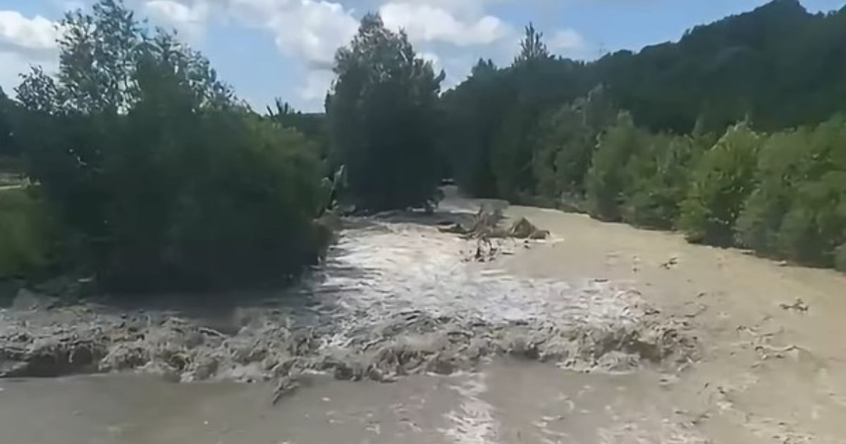 Imaginea arată o viitură după ploi torențiale
