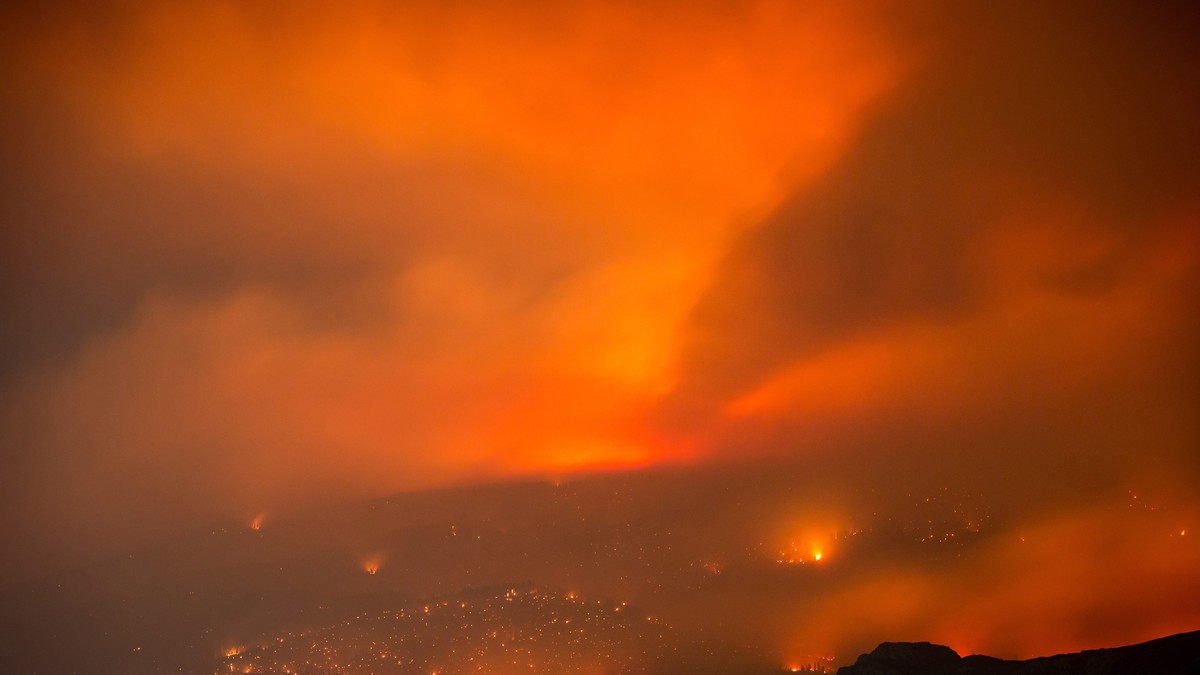 Arhiva foto