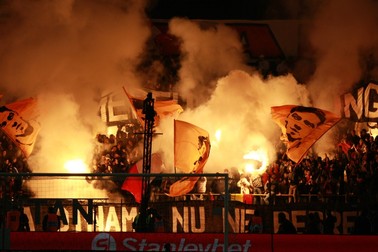 Arhiva foto