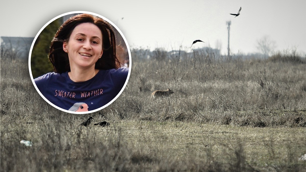 Un colaj cu un camp viran cu un caine si niste pasari si chipul unei femei in medalion