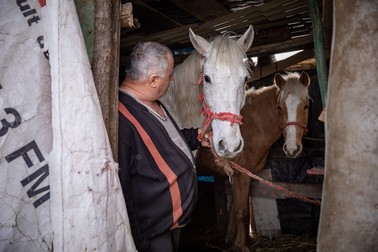 Aurelian Mocanu câştigă banii de pâine făcând drumuri cu căruţa