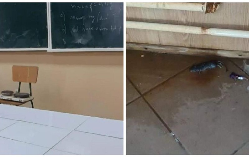 Imagini dintr-un liceu din Adjud: Încălzirea se face cu reșouri, pe hol a fost găsit un șobolan mort. Explicațiile conducerii