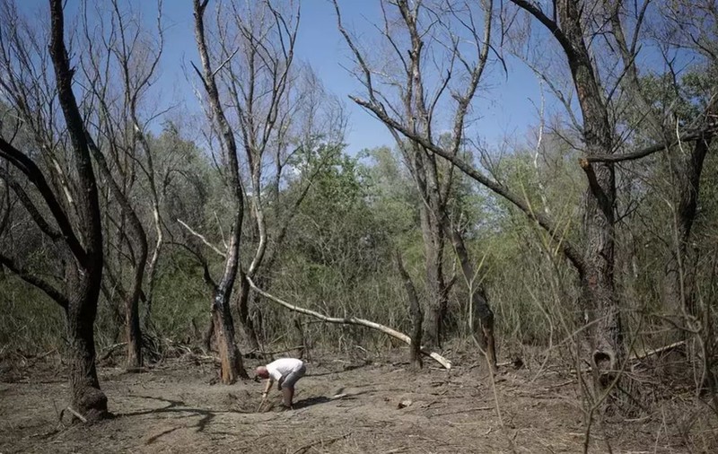 Resturi dintr-o dronă rusească, găsite la Tulcea, după un atac masiv al rușilor în Ucraina. MApN: Zona e cercetată în continuare