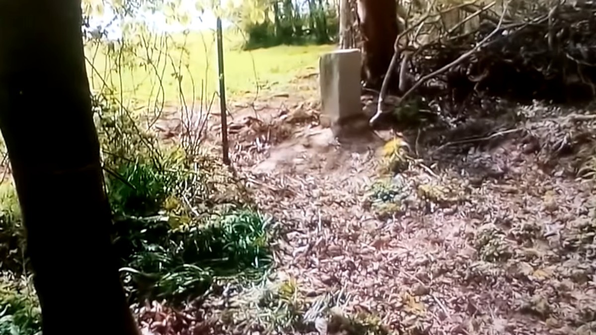 Un fermier belgian a mutat din greșeală granița cu Franța. „Ar trebui evitat un nou război la graniţă”