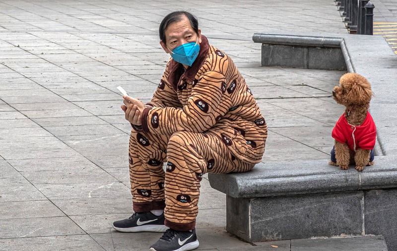 Pandemia de coronavirus schimbă lumea. În China, câinii devin prin lege animale de companie, nu de consum