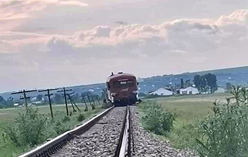 Tren deraiat în Botoșani, după ce o vacă a sărit pe șine