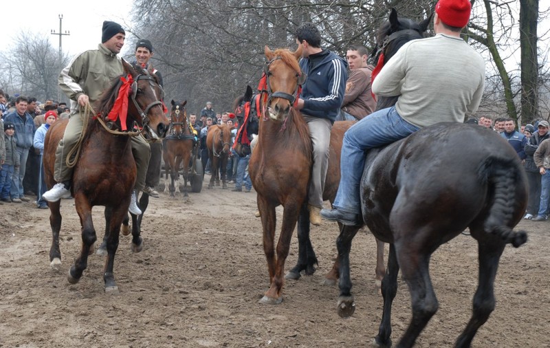 Încuratul cailor, tradiție în Sâmbăta Sfântului Teodor în Dolj. Fetele merg la pădure înainte de răsăritul soarelui