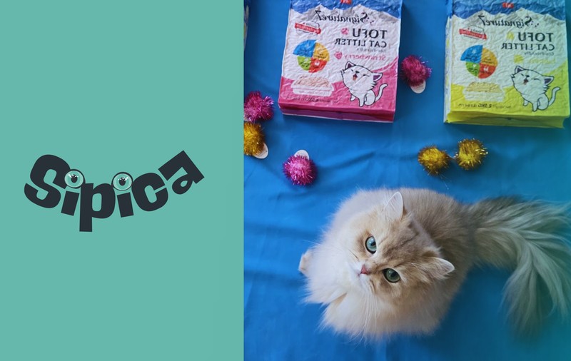 Nisip tofu pentru pisici: de ce cuceresc atât de multe case (și pisici)