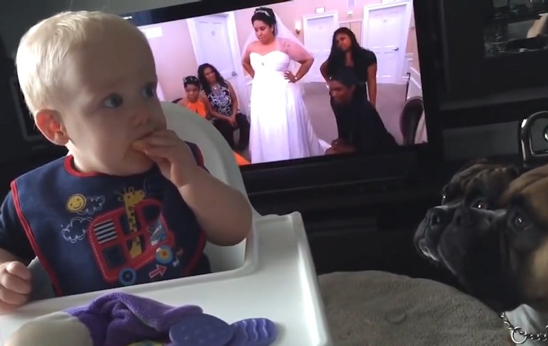 Un bebe și cățeii lui fac furori pe internet. Cum împart un biscuite | VIDEO
